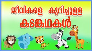 ജീവികളെ കുറിച്ചുള്ള കടങ്കഥകൾ [malayalam riddles about animals ]