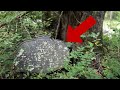 Amazing and Sad! Never Before Seen Grave Markers! Hammock-Johnson Cemetery