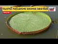 aravalli news ભાજપે જીતેલા ઉમેદવારોનું કર્યું સન્માન bjp gujarat news