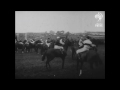 emily davison suffragette killed by king s horse at derby 1913 british pathé