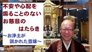 不安や心配を煽ることのないお慈悲のはたらき～お浄土が説かれた意味～　善了寺　朝のお勤めの御法話シリーズ　そうだお坊さんとお茶しようオンライン