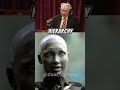 The Hidden Dangers of AI: Insights from Michio Kaku and Joe Rogan