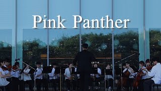 🐆Pink Panther 🐆 한동오케스트라 2024년도 버스킹 공연