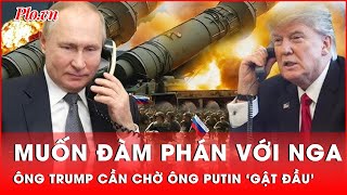 Để đàm phán về hòa bình Ukraine, ông Trump cần chờ ‘cái gật đầu’ của ông Putin | Thời sự quốc tế