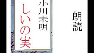 「しいの実,」,作,　小川未明,※全文朗読,　イオギ・井荻新※