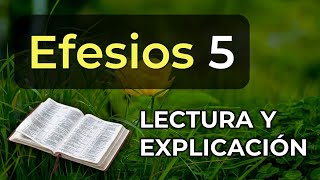 Efesios 5 | Reavivados por su Palabra (domingo 19 de enero 2025) #RPSP