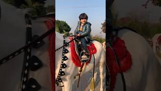 Roohi Ride on lakdi ki kathi #viral #roohirafay #lakdikikathi #ride#horseriding #shortsvideo