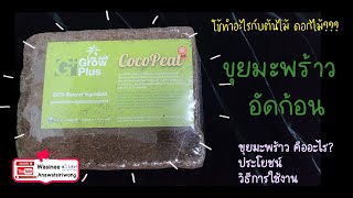 ขุยมะพร้าวอัดก้อนใช้ปลูกพืชได้จริงหรือ?Coco Peat คืออะไรดีจริงมั้ย?| ต้นไม้ ดอกไม้ by NadineShop.com