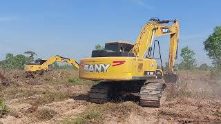 หนุ่มตี๋จากแดนมังกร แพคคู่ งัดตอ ยูคาลิปตัส SANY SY200C งานเหมา 40 ไร่ งานมี ยกสูง excavators