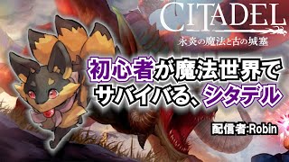 建築好きな初心者が魔法世界でサバイバルなゲームで遊ぶ！ [シタデル]