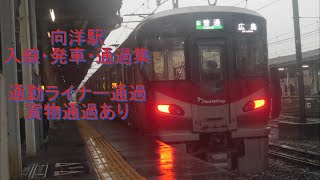 向洋駅入線•発車•通過集　通勤ライナー•貨物通過あり