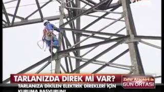 Elektrik ve telefon direklerinden para kazanabilirsiniz!