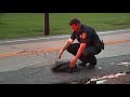 video not all heroes wear capes berea police rescue an injured owl hit by a car