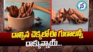 దాల్చిన చెక్కలో ఈ గుణాలు దాక్కున్నాయ్.. | Cinnamon, a treasure of medicinal properties | Cinnamon