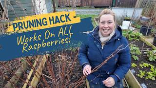 Raspberry Pruning Hack - How To Prune Raspberries Perfectly