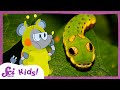 These Caterpillars Don't All Look Like Caterpillars | Scishow Kids