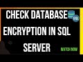 How To Check Database Encryption In SQL Server