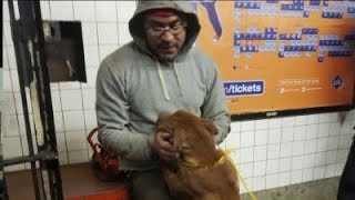 MTA worker rescues dog from subway tracks