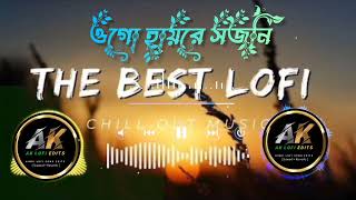 ওগো হায়রে সজনী Lofi song 🥰🙏#video #viralvideo #viralreels #videos