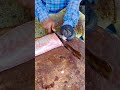 Korava fish cutting video/fishcuttingrs#fish #kasimedu #fishcuttingrs