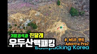 [Backpacking Korea]진달래 속 우두산 백패킹_MSR Advance Pro2 Tent Review(거창 우두산 Y자형 출렁다리/백패킹용 텐트/우두산 산행정보/드론영상)