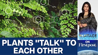 How do Plants Warn Each Other When in Danger? | Vantage with Palki Sharma