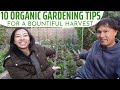 10 Organic Gardening Tips for a Bountiful Harvest