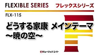 《フレックスシリーズ》どうする家康 メインテーマ～暁の空～