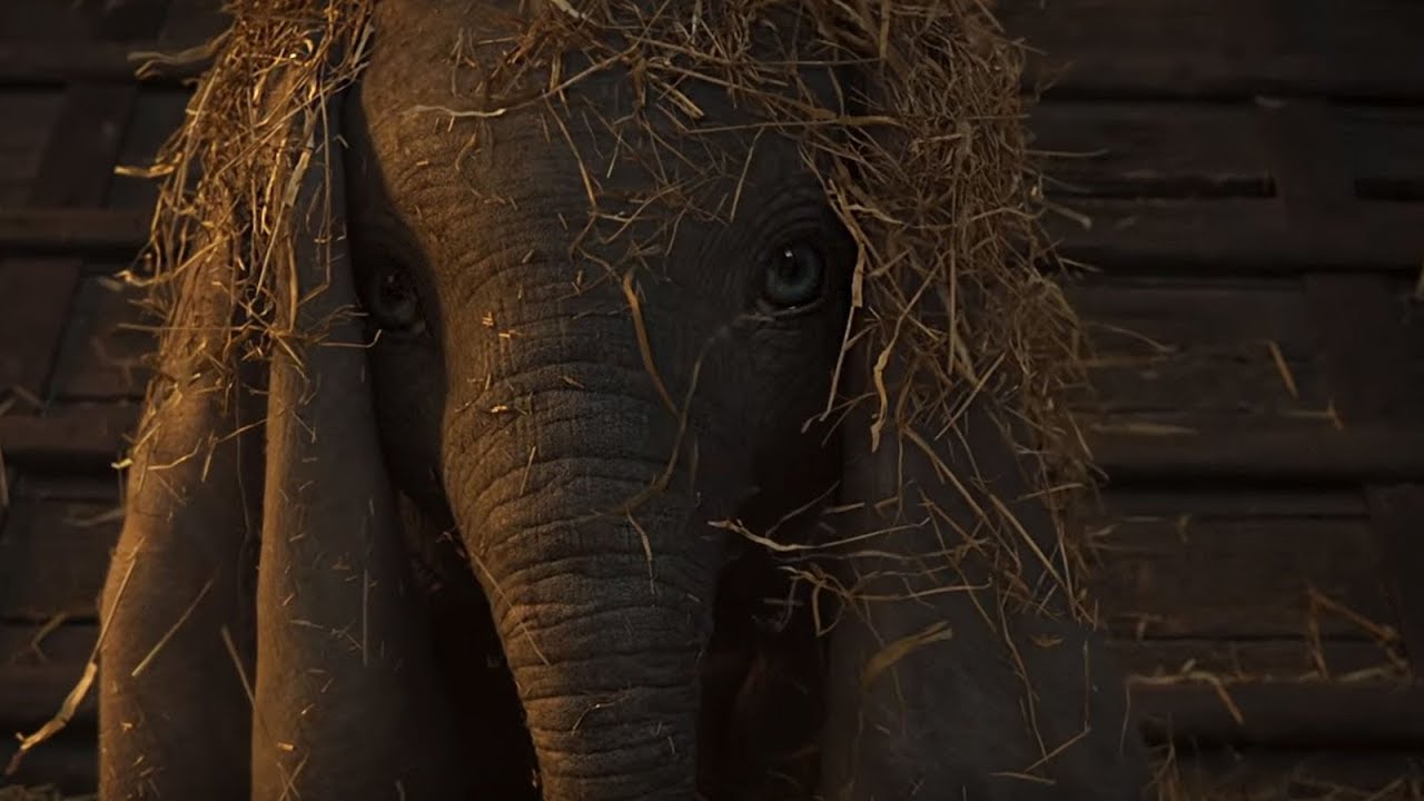 Dumbo - Teaser Trailer (NL Ondertiteld) - Disney NL - YouTube