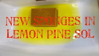 ASMR Soapy Sponge Squeezing: New Sponges in Lemon Pine Sol🍋