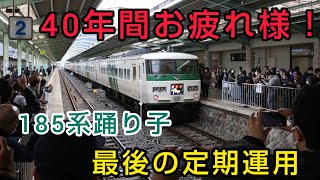 【40年間ありがとう！】185系踊り子最後の定期列車に乗車！