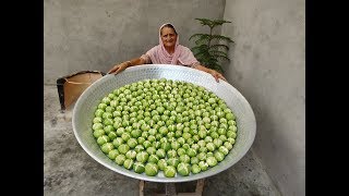 TINDA RECIPE Prepared by My Granny | Stuffed Tinda Recipe | Tinda Fry | Recipes | Veg Village Food