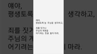 하느님께서 매일 주시는 하얀도화지 (토빗복음중~)주님의가르침