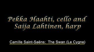 The Swan (Le Cygne)  - Pekka Haahti and Saija Lahtinen