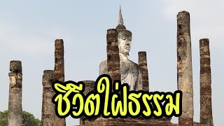 ชีวิตใฝ่ธรรม แบ่งเวลาศึกษาธรรมะ ช่วยทำให้จิตใจสงบสุข