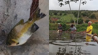 PESCARIA NO MEU POÇO + TAMBAQUI GIGANTE + DANDO PEIXES PARA MEU IRMÃO CRIAR