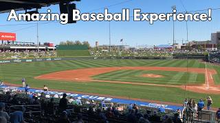 Chicago Cubs Spring Training Guide | A Must For Any Cubs Fan!