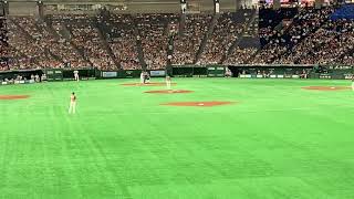 柿木蓮 日本ハムファイターズが東京ドームで登板する 巨人戦 甲子園優勝 大阪桐蔭高校