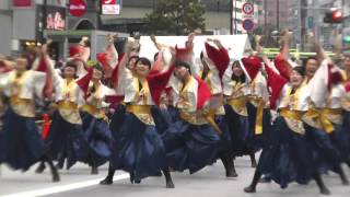 乱舞姫 / 東京よさこい 2015 前夜祭 池袋 ふくろ祭り アゼリア通り YOSAKOI