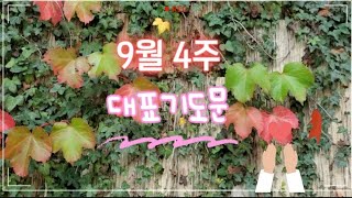 대표기도문🍂 9월 넷째주 기도문✝️ 주일대표기도문🙏 (대표기도문모음)