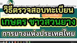 วิธีตรวจสอบทะเบียนเกษตรกร ชาวสวนยาง รอรับเงินเยียวยา 15000 บาท การยางแห่งประเทศไทย By ไมนี่ชานอล