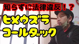 【法律違反⁉︎】ヒメウズラとコールダックの定期報告義務について保健衛生所に聞いてみました‼︎