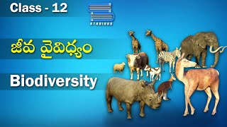 జీవవైవిధ్యం - Biodiversity | Biodiversity and Conservation | Biology Class 12 | Bipc 2nd year