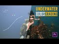 How To Color Grade Underwater Videos | 2nd Edition