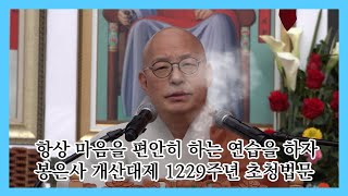 항상 마음을 편안히 하는 연습을 하자 - 봉은사 개산대제 1229주년 초청법문 - 진우스님의 오늘의 명상