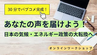 パブコメWS「再エネ拡大の課題」