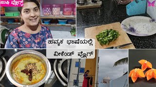 ಹವ್ಯಕ ಭಾಷೆಯಲ್ಲಿ ವೀಕೆಂಡ್ ವ್ಲೊಗ್ | ಹಾಗಲಕಾಯಿ ಕಾಯಿರಸ | ಪೇಪರ್ ಕ್ರಾಫ್ಟ್ | Havyaka | Havyaka Kannada Vlog