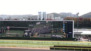 セイウンパワフル デットーリ 未勝利 東京競馬場 現地映像