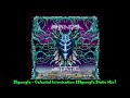 shpongle celestial intoxication shpongle static mix ᴴᴰ