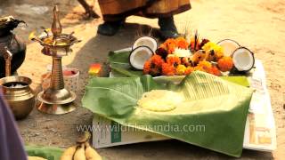 Sakarai Pongal offering ritual during Pongal celebrations at the capital